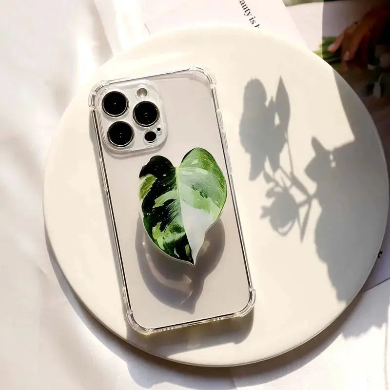 S784c16b02d254bf7ad93381b950237d2S